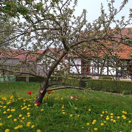 Pension Toepferhof Bad Berka Ngoại thất bức ảnh
